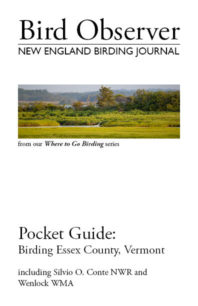Birding Essex County, Vermont, including Silvio O. Conte NWR and Wenlock WMA